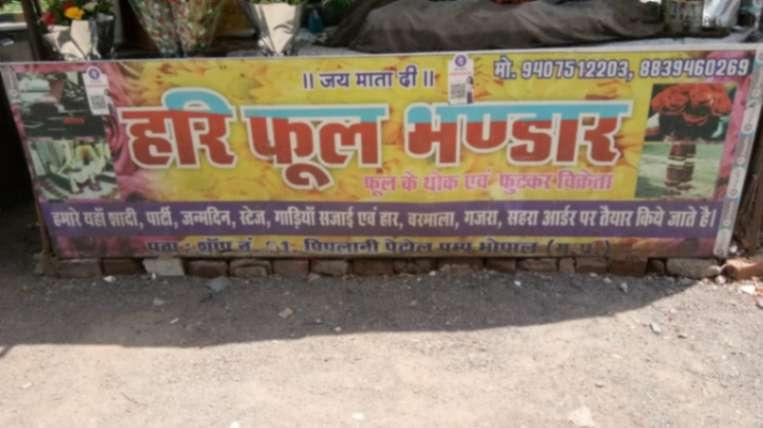 Domestic delivery; Exp: 4 year