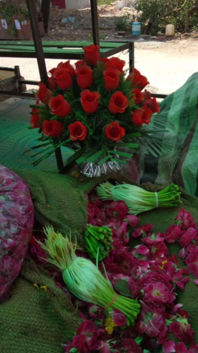 Domestic delivery; Exp: More than 5 year