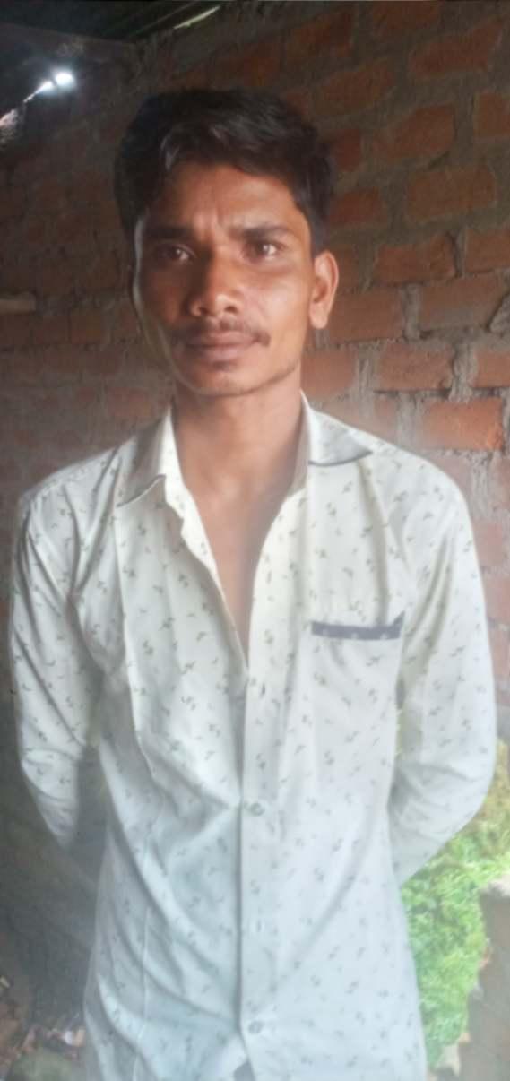 Painting/ White washing; Exp: More than 10 year