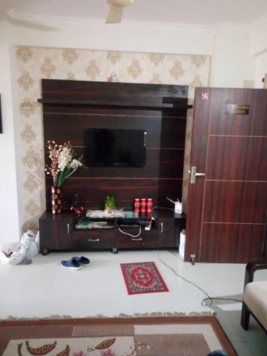 Carpenter; Exp: More than 15 year