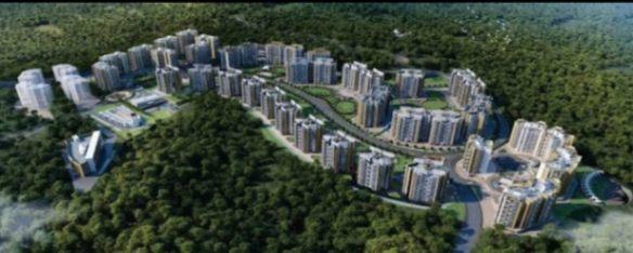 Real estate agent/ management; Exp: More than 10 year