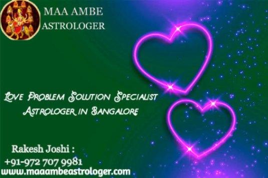 Astrologer, Fortune Telling/ Astrology; Exp: More than 15 year