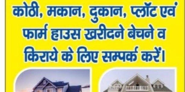 Real estate agent/ management; Exp: More than 10 year