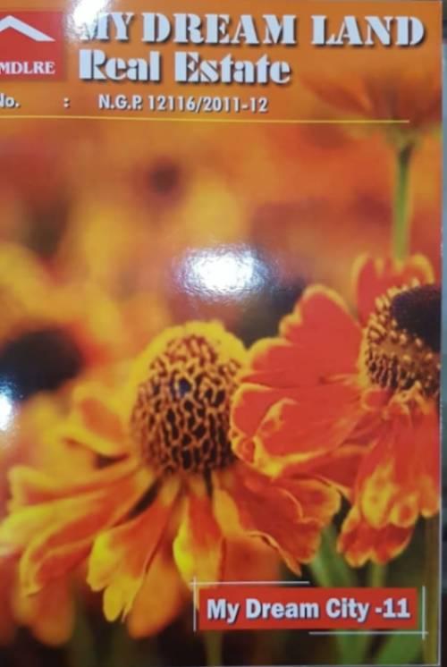 Real estate agent/ management; Exp: More than 10 year