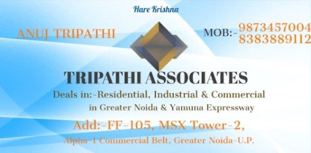 Real estate agent/ management; Exp: More than 5 year