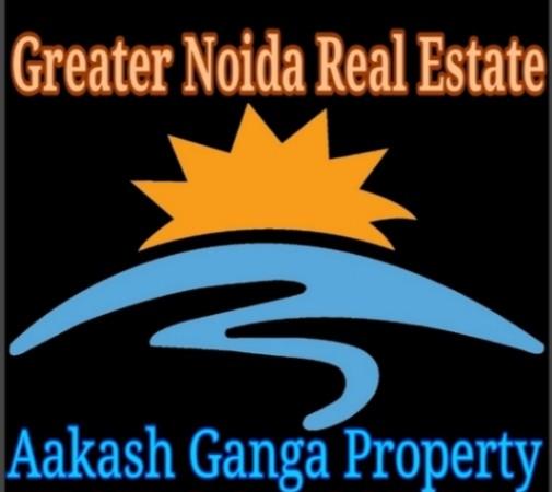 Real estate agent/ management; Exp: More than 5 year