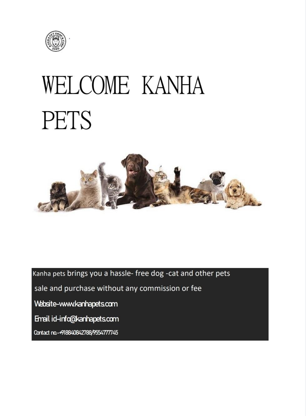 Pet care; Exp: More than 5 year