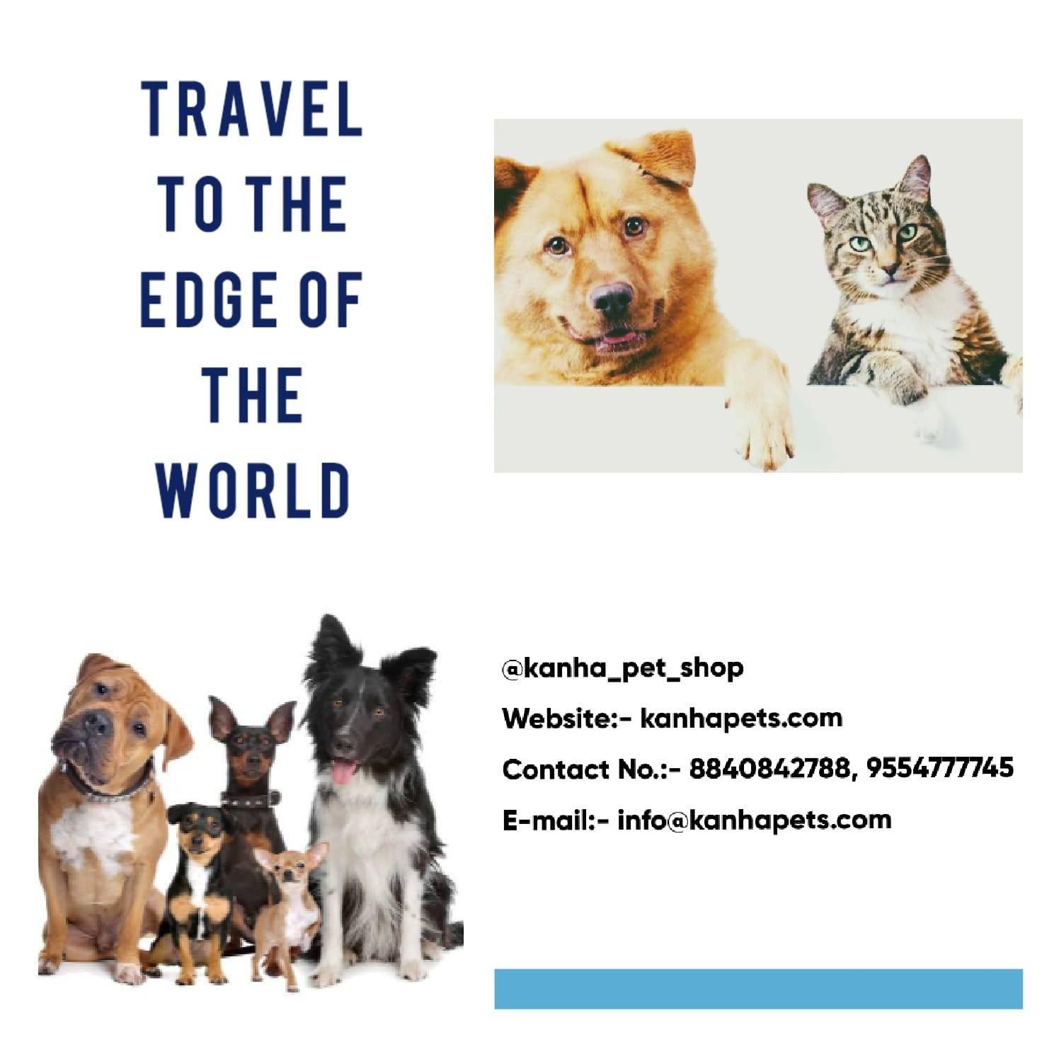 Pet care; Exp: More than 5 year