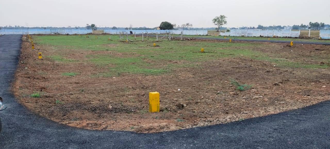 Real estate agent/ management; Exp: 2 year