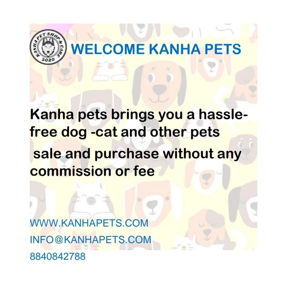 Pet care; Exp: More than 5 year