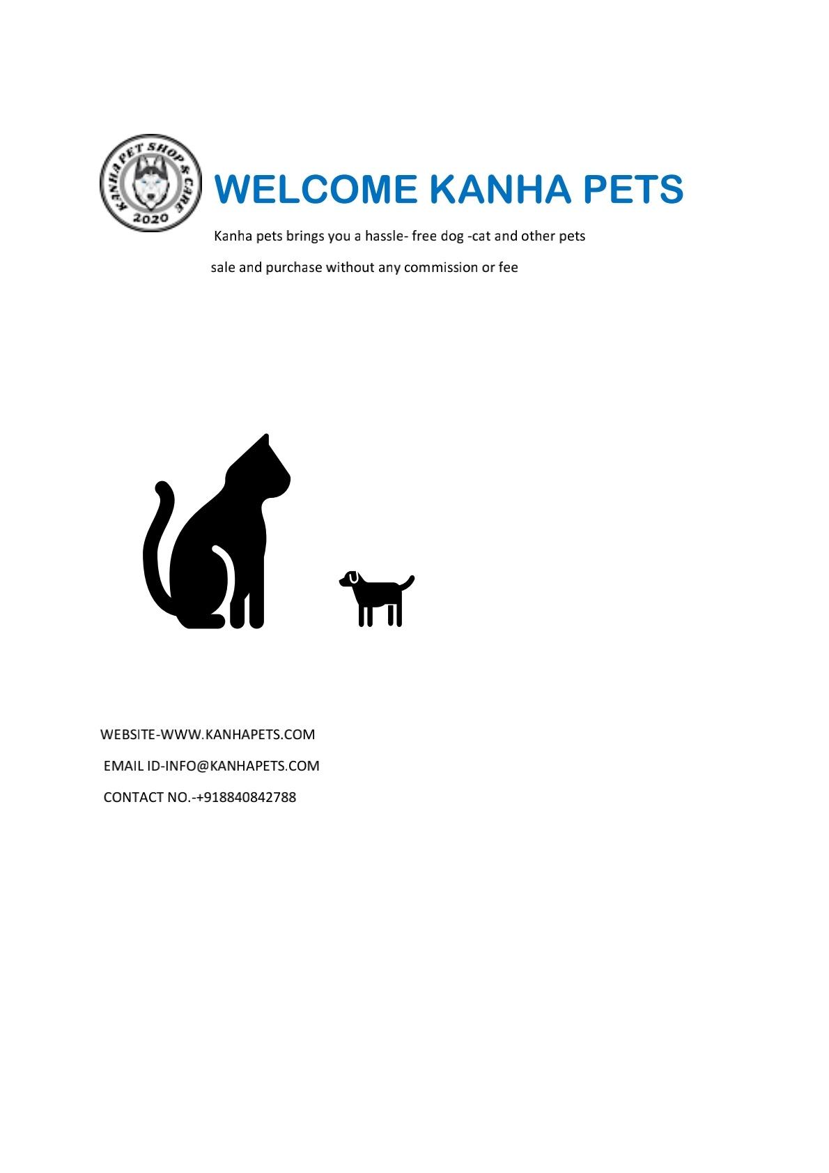 Pet care; Exp: More than 5 year