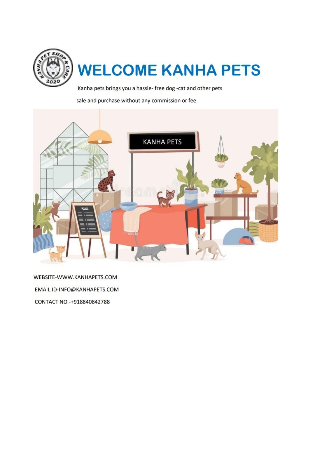 Pet care; Exp: More than 10 year