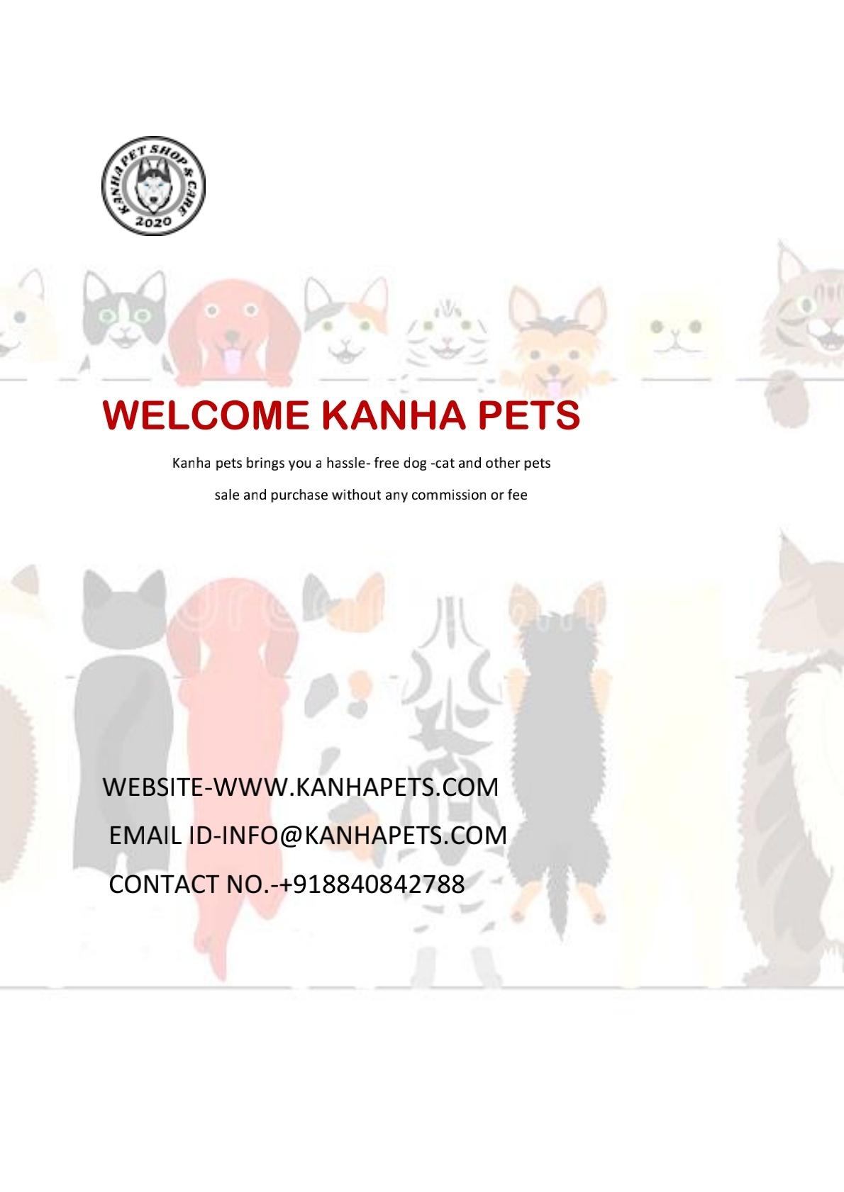 Pet care; Exp: More than 5 year