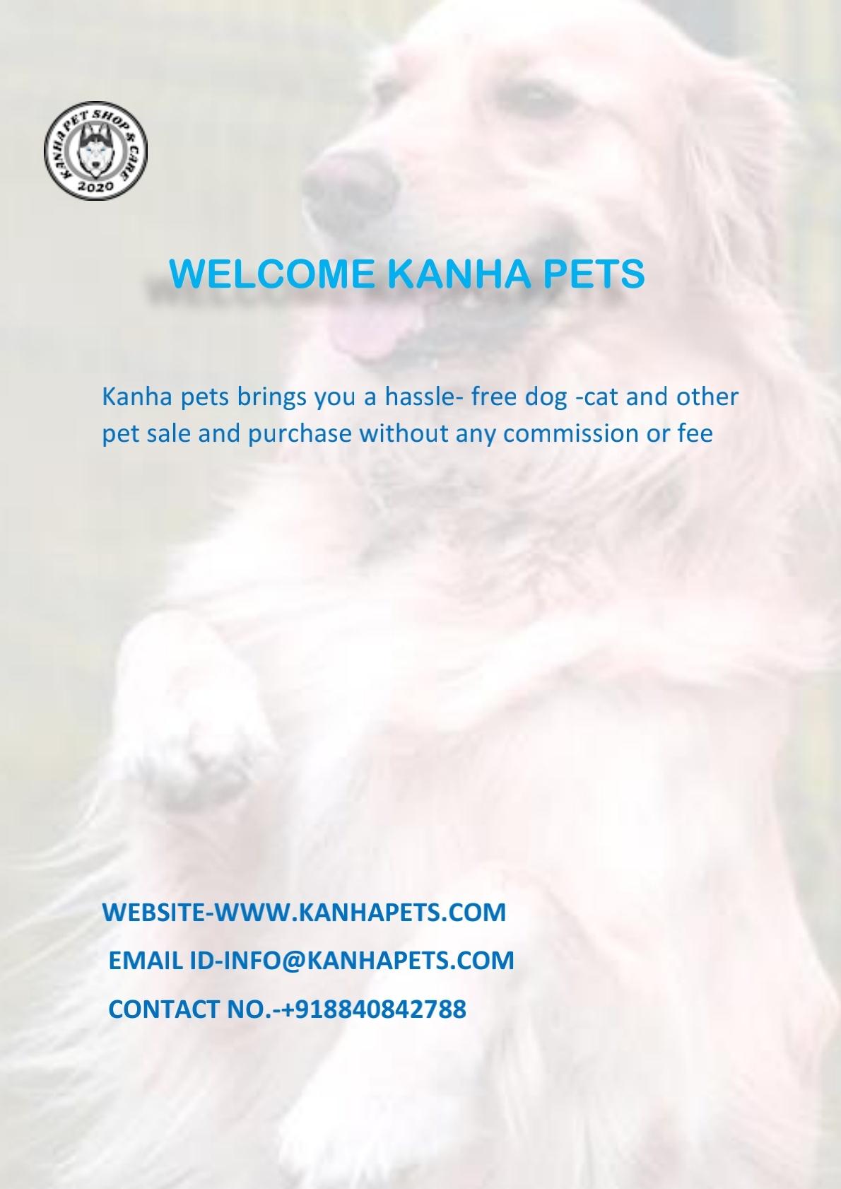 Pet care; Exp: More than 5 year