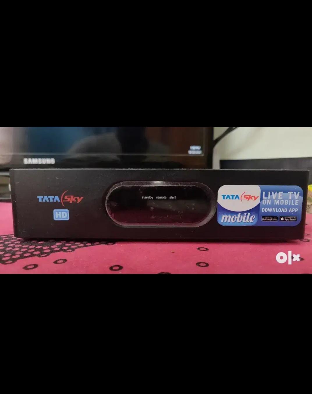 Other construction/ home repair services; Exp: More than 10 year