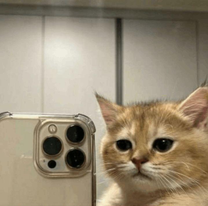 Others Academics/ Career services; Exp: 3 year