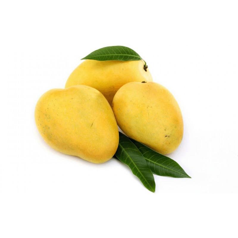 Water Treatment & Purification; Exp: Some experience (0-1 years)