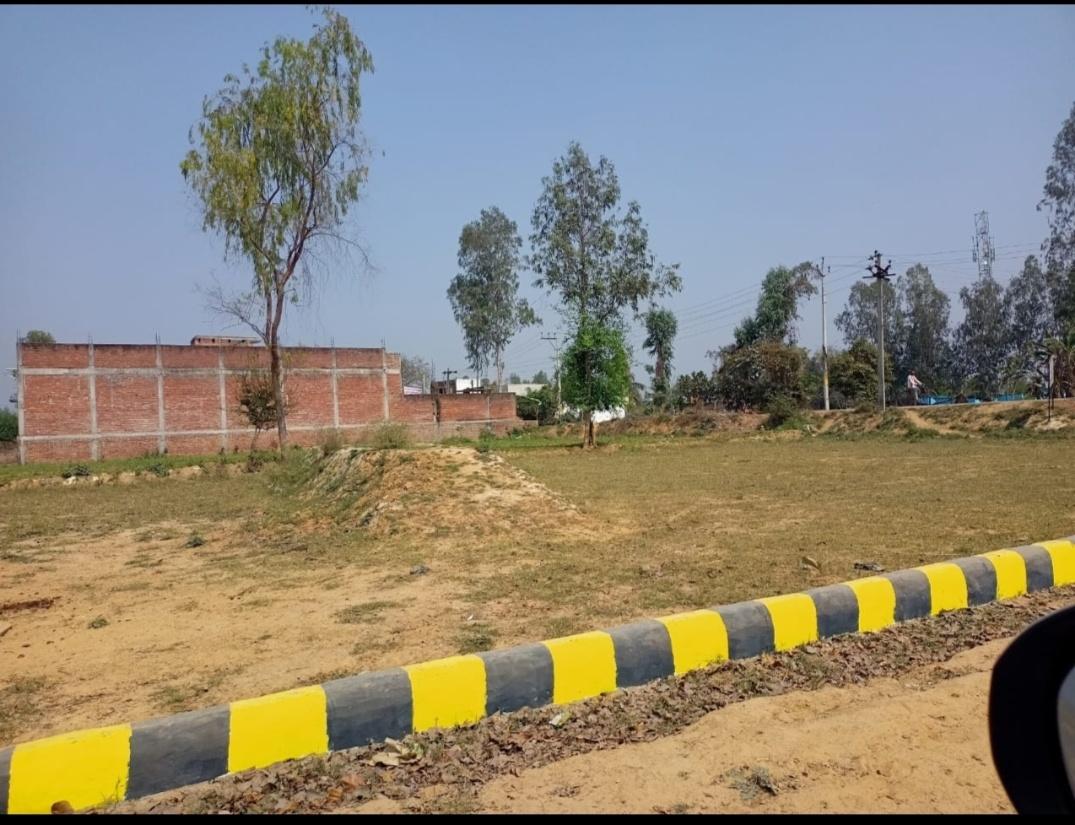 Builders/ Architects; Exp: Some experience (0-1 years)