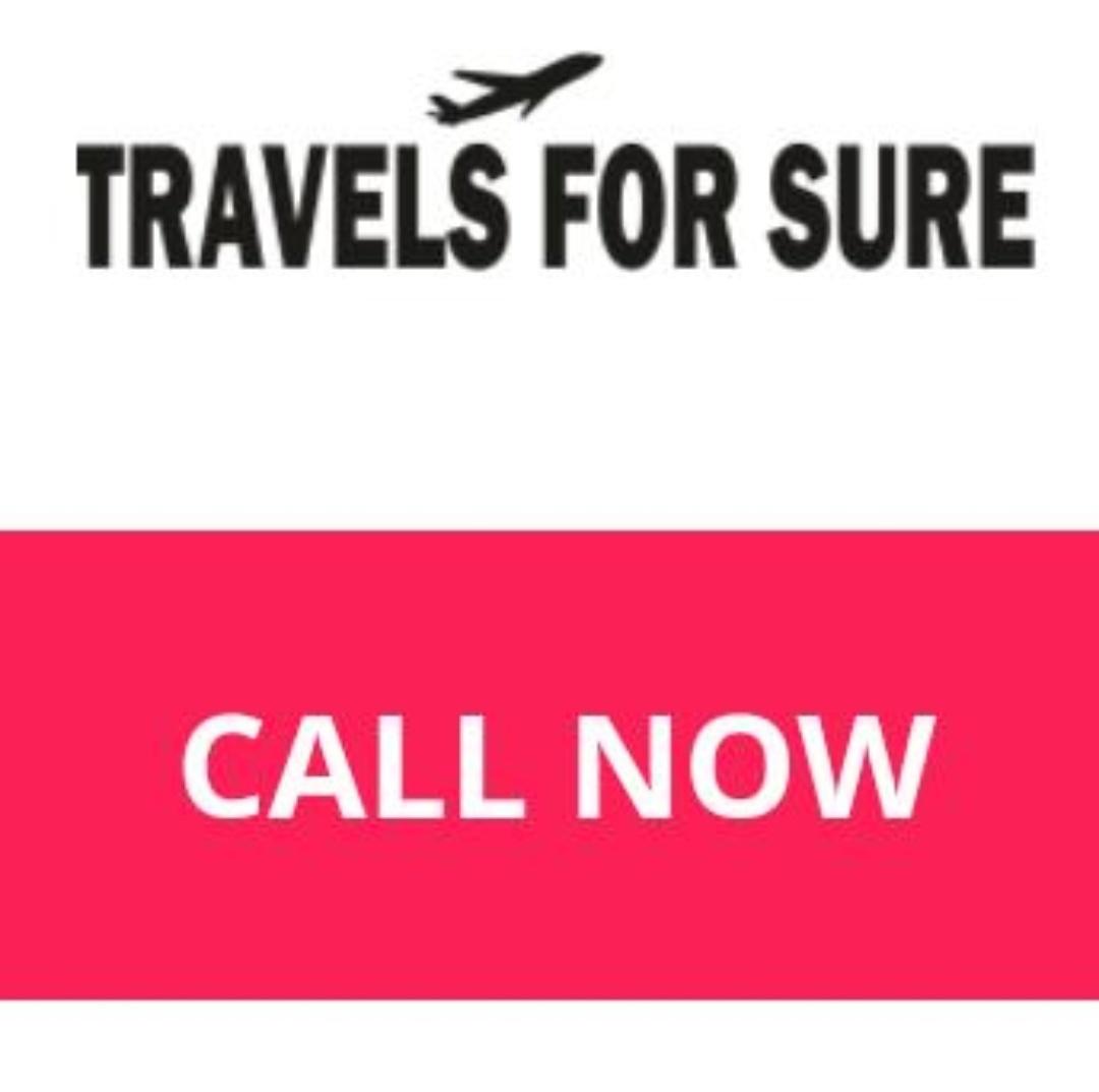 Travel service; Exp: More than 5 year
