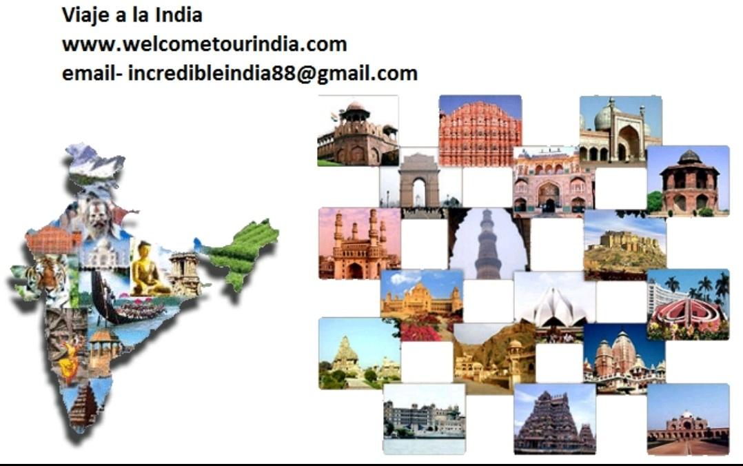 Travel service; Exp: More than 10 year