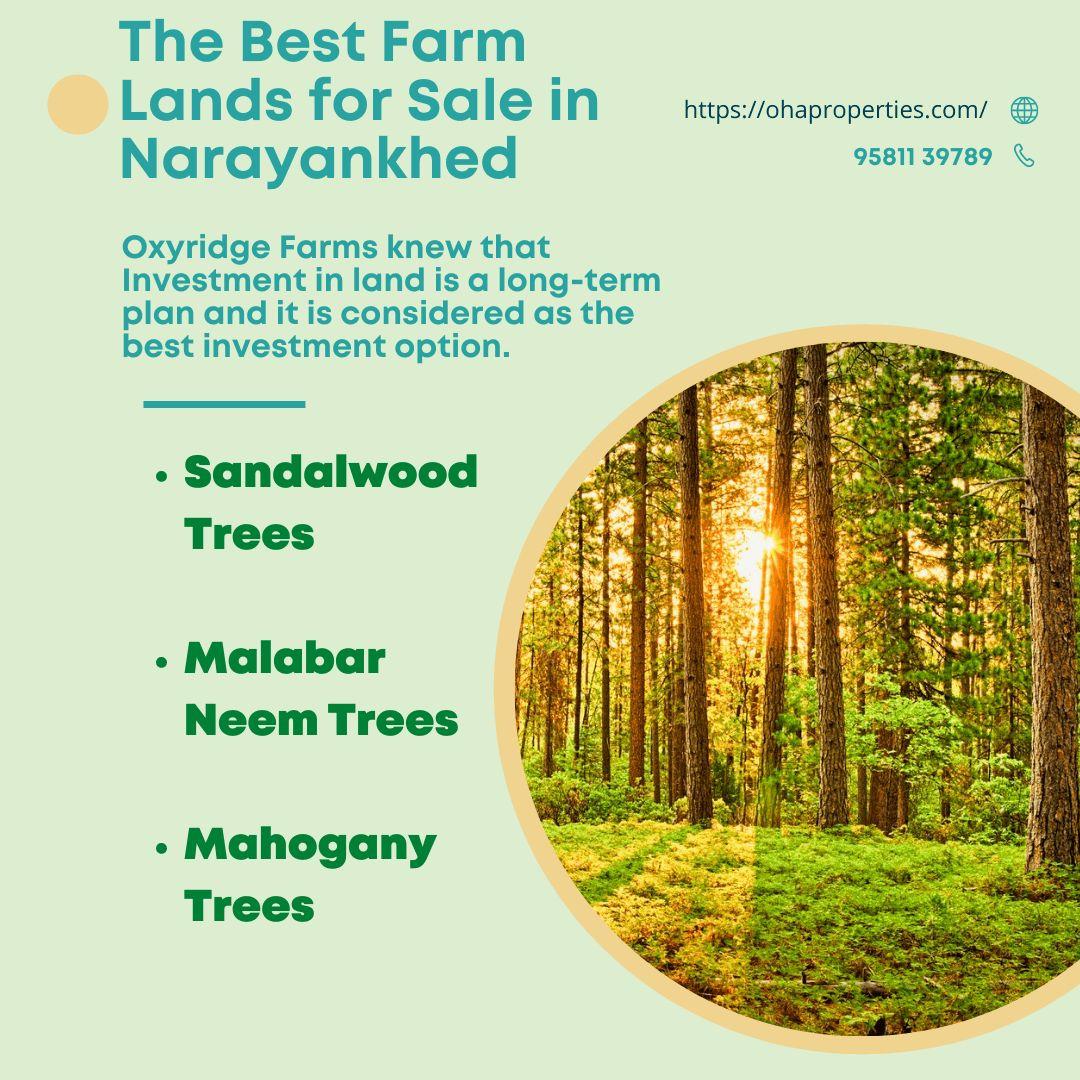 Real estate agent/ management