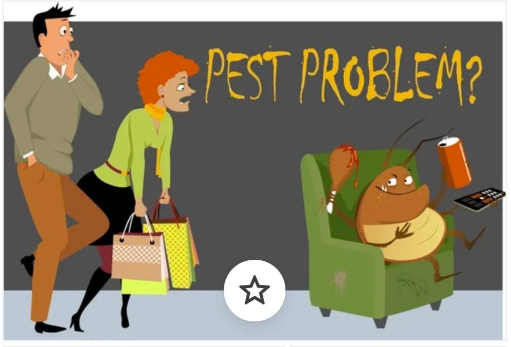 Other domestic services; Exp: 4 year