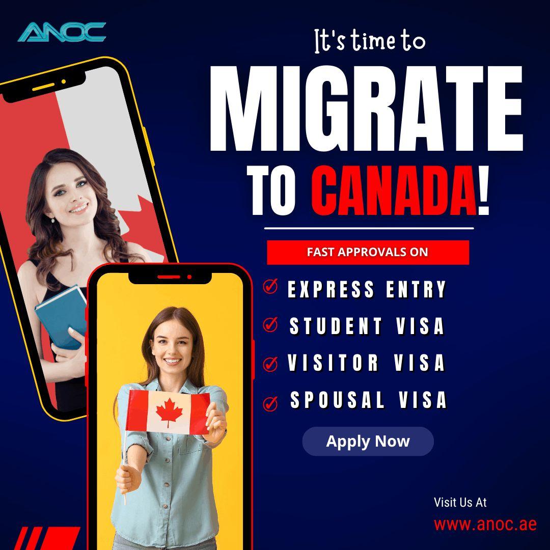 Travel service; Exp: More than 15 year