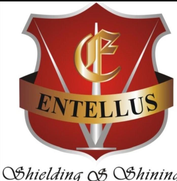 Other professional services; Exp: More than 15 year