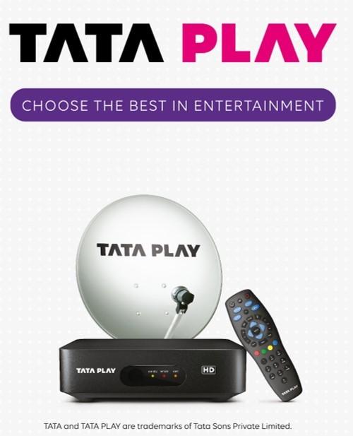 Other (Service Not listed); Exp: More than 10 year