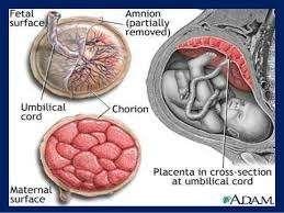 Doctors, Other health care/ medical services; Exp: More than 5 year