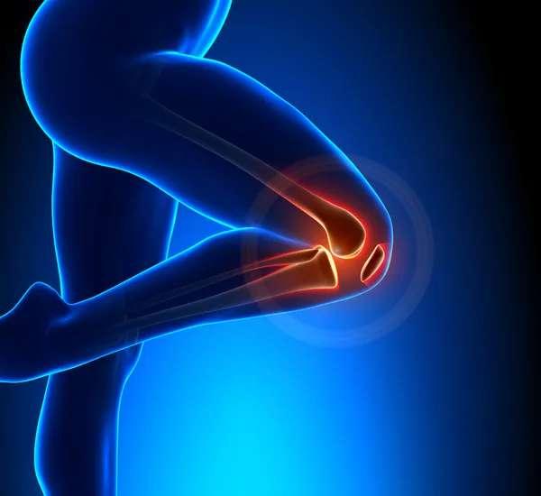 Physiotherapist/ Chiropractor; Exp: 2 year