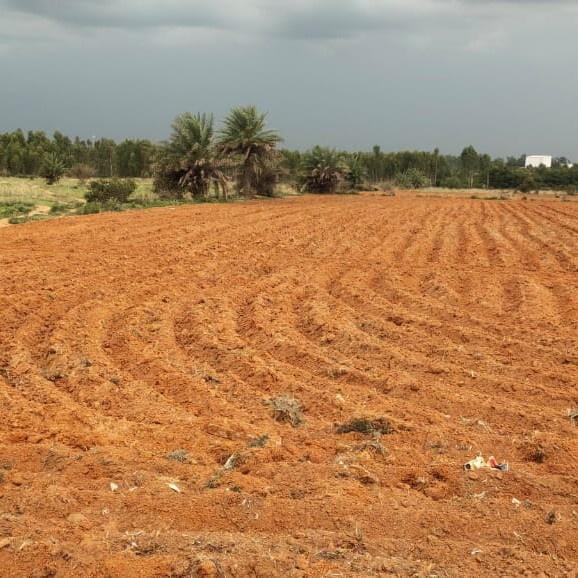 Real estate agent/ management; Exp: More than 15 year