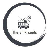 Travel service; Exp: More than 5 year