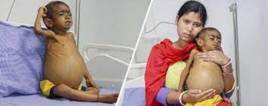 Other (Service Not listed)