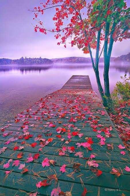 Class 11th/ 12th Tuition, Class 9th/ 10th Tuition, Graduation/Masters  Tuitions, Mathematics, Middle Class (6th -8th) Tuition; Exp: More than 15 year