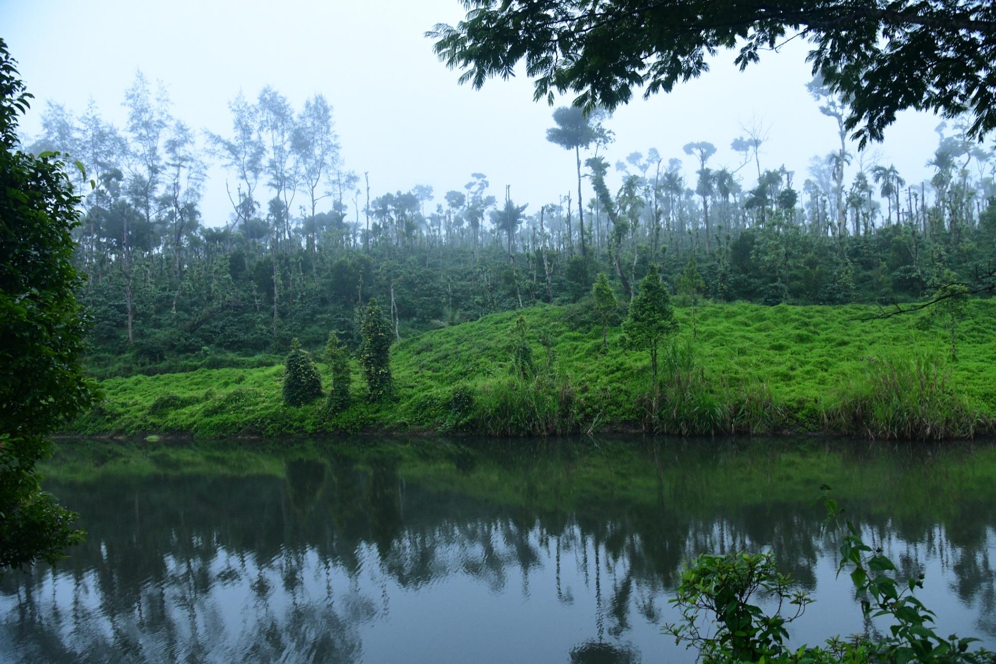 Other (Service Not listed), Travel service, Party Entertainment