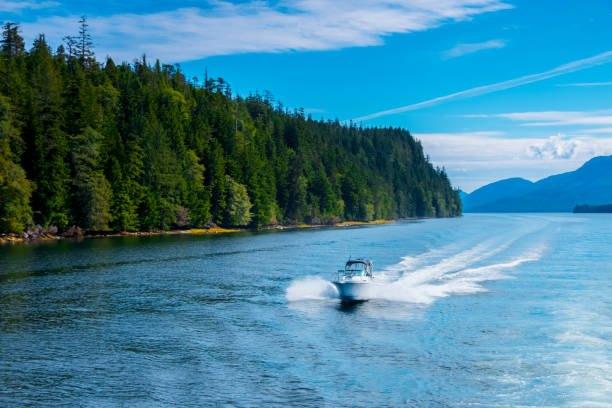 Travel service; Exp: More than 10 year