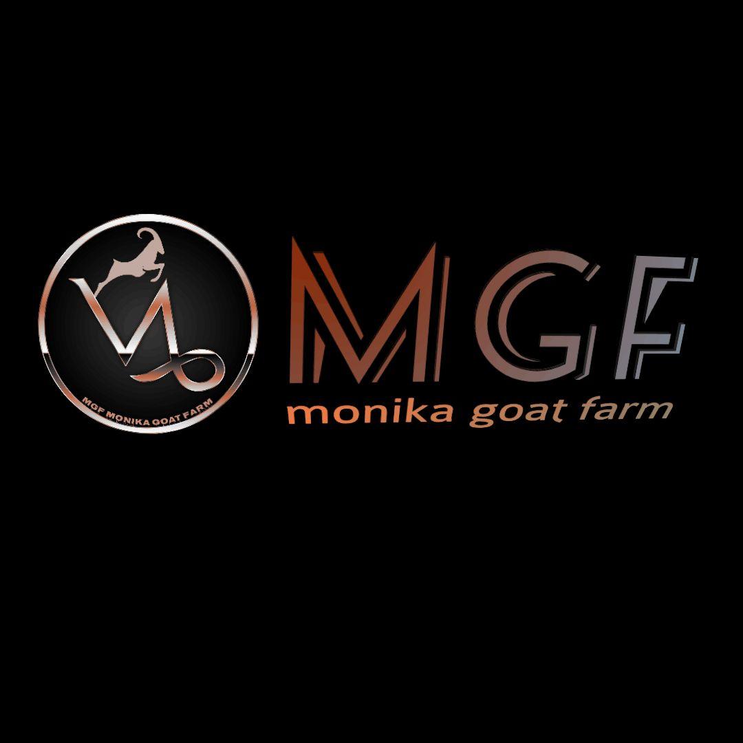 We, MGF monika goat farm, situated at Chitrasenpur, Howrah, West Bengal are one of the renowned and finest goat farms in the city. Goats are reared for milk and meat. Our range of products include Boer goats, Sojat goats, Jamnapari goats, Sirohi goats, Barbari goats, Beetal goats, etc. Our products are high in demand due to their premium quality and affordable prices. We deliver the goats to our valuable customers as per their demands.