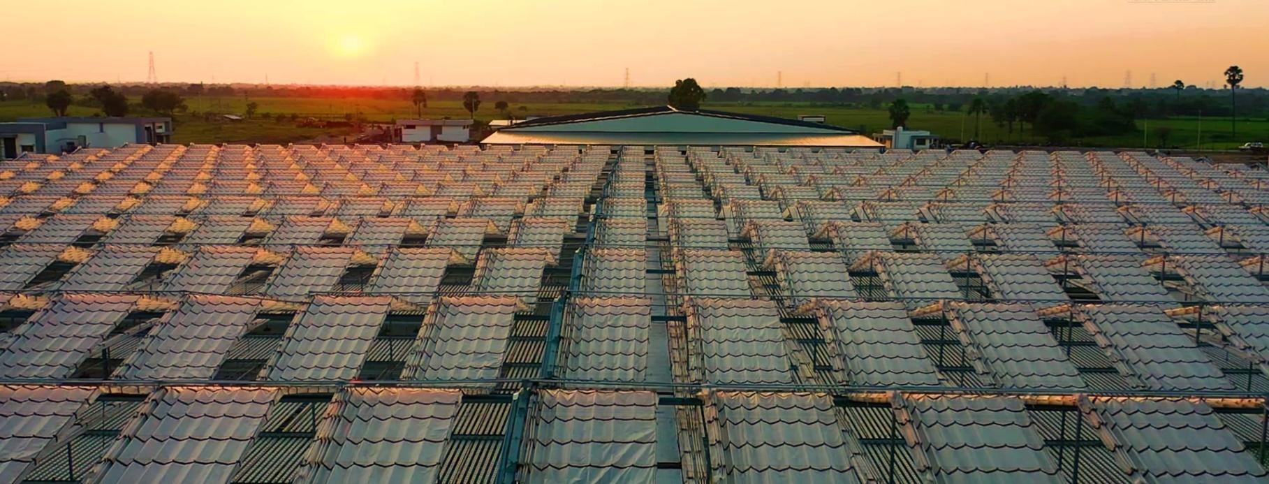 Other (Service Not listed)