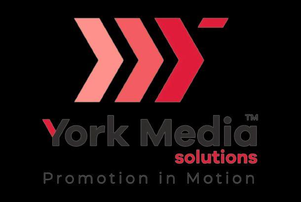 Other professional services; Exp: More than 15 year