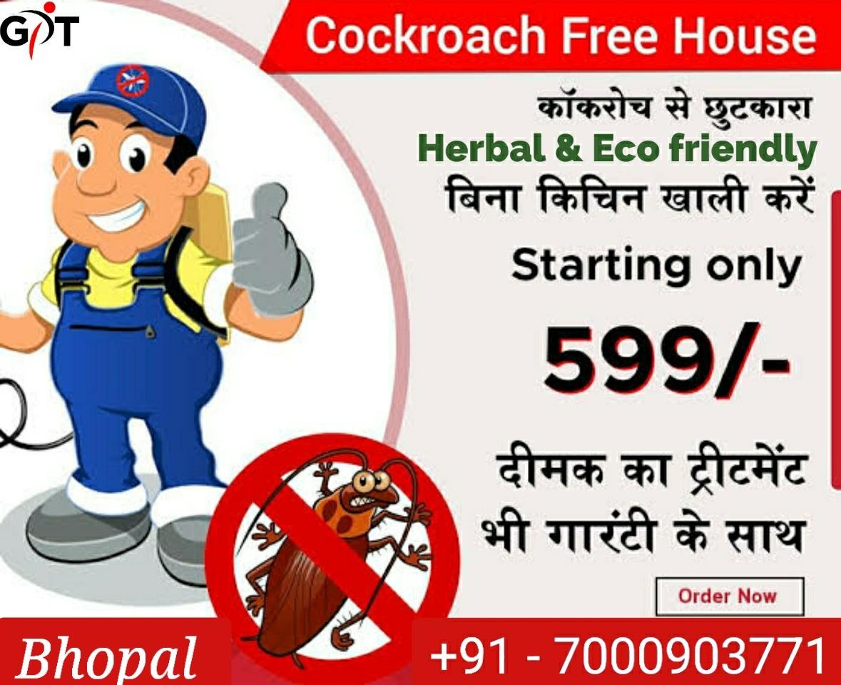 Goswami pesticides treatment service Bhopal 7000903771All kind of pesticides treatment services Available here now 