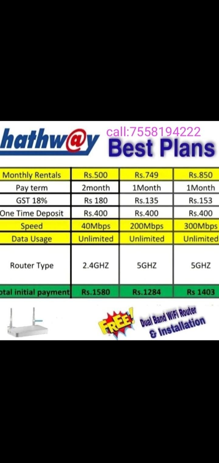 Other professional services; Exp: More than 15 year