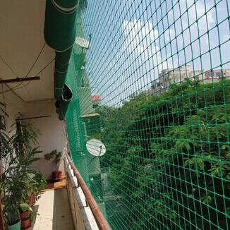 Other (Service Not listed); Exp: More than 10 year