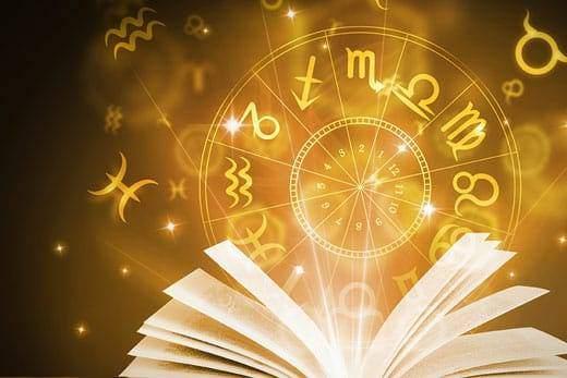 Other professional services; Exp: More than 15 year