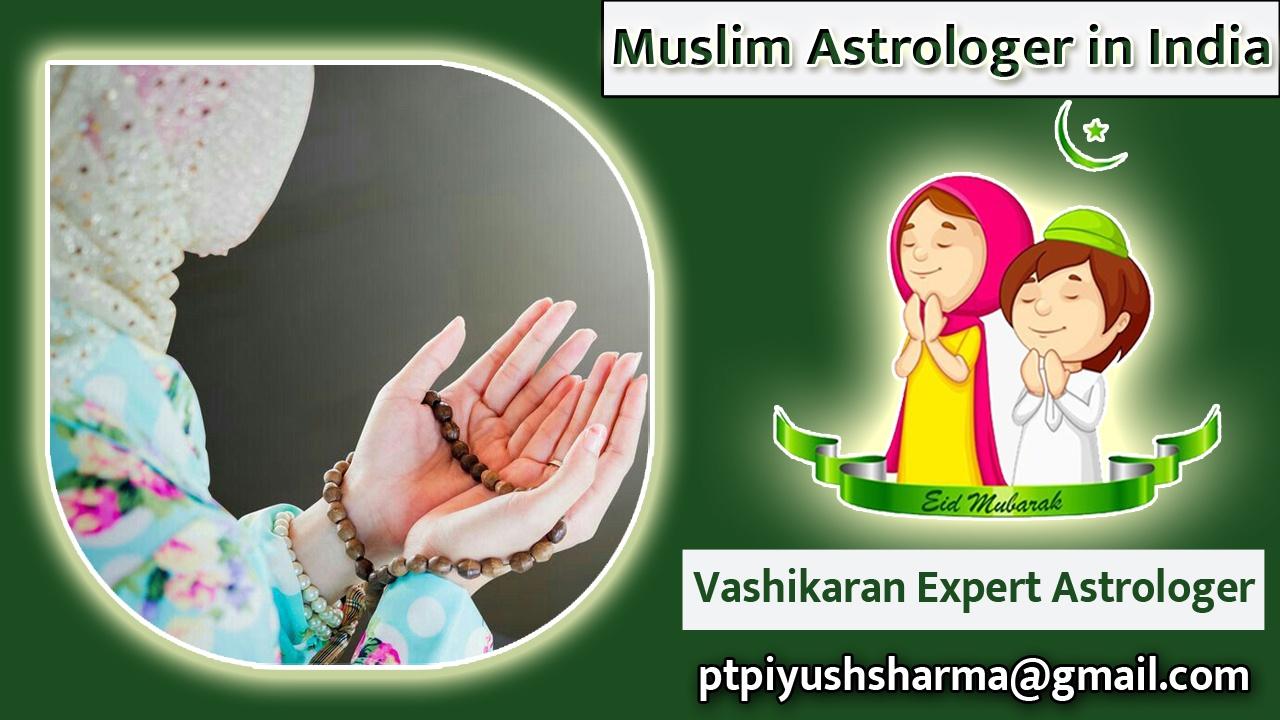 Other professional services; Exp: More than 15 year