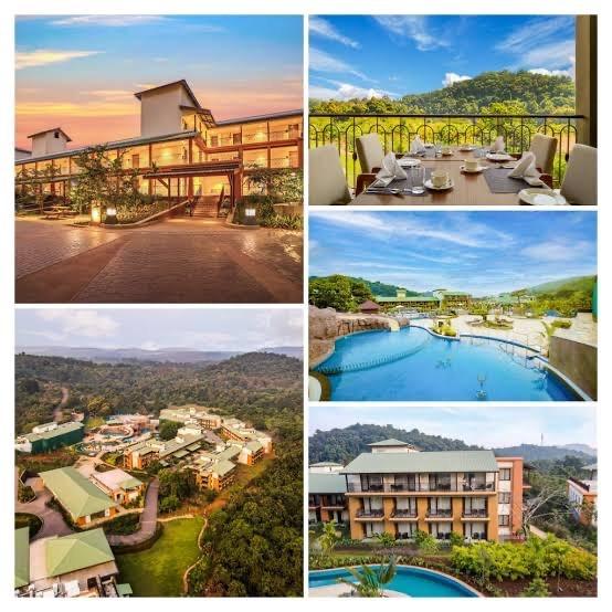 Cruise Tours, Embassy Services, Flight Tickets, Honeymoon Packages, International Tour; Exp: More than 10 year