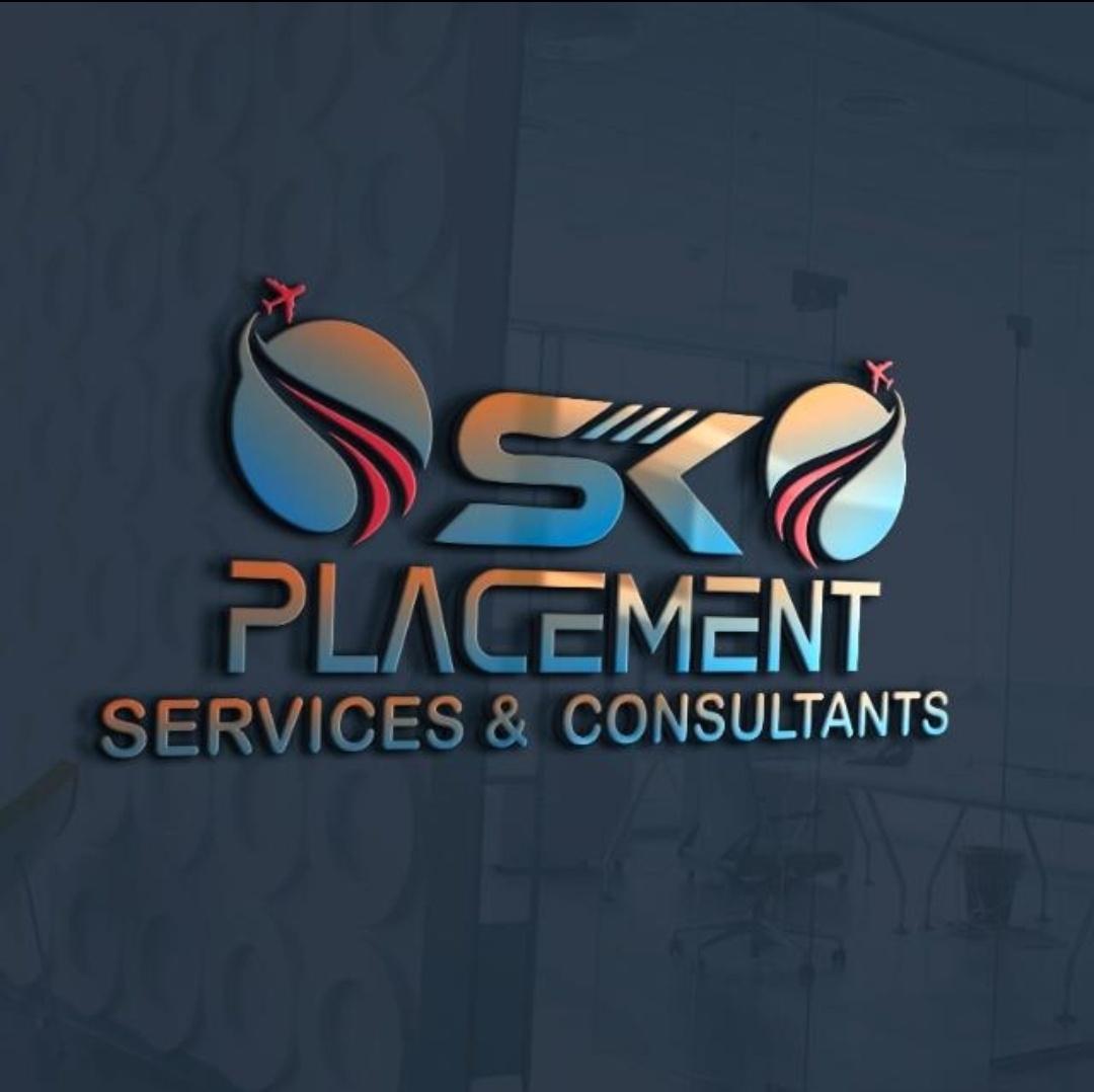 Other domestic services