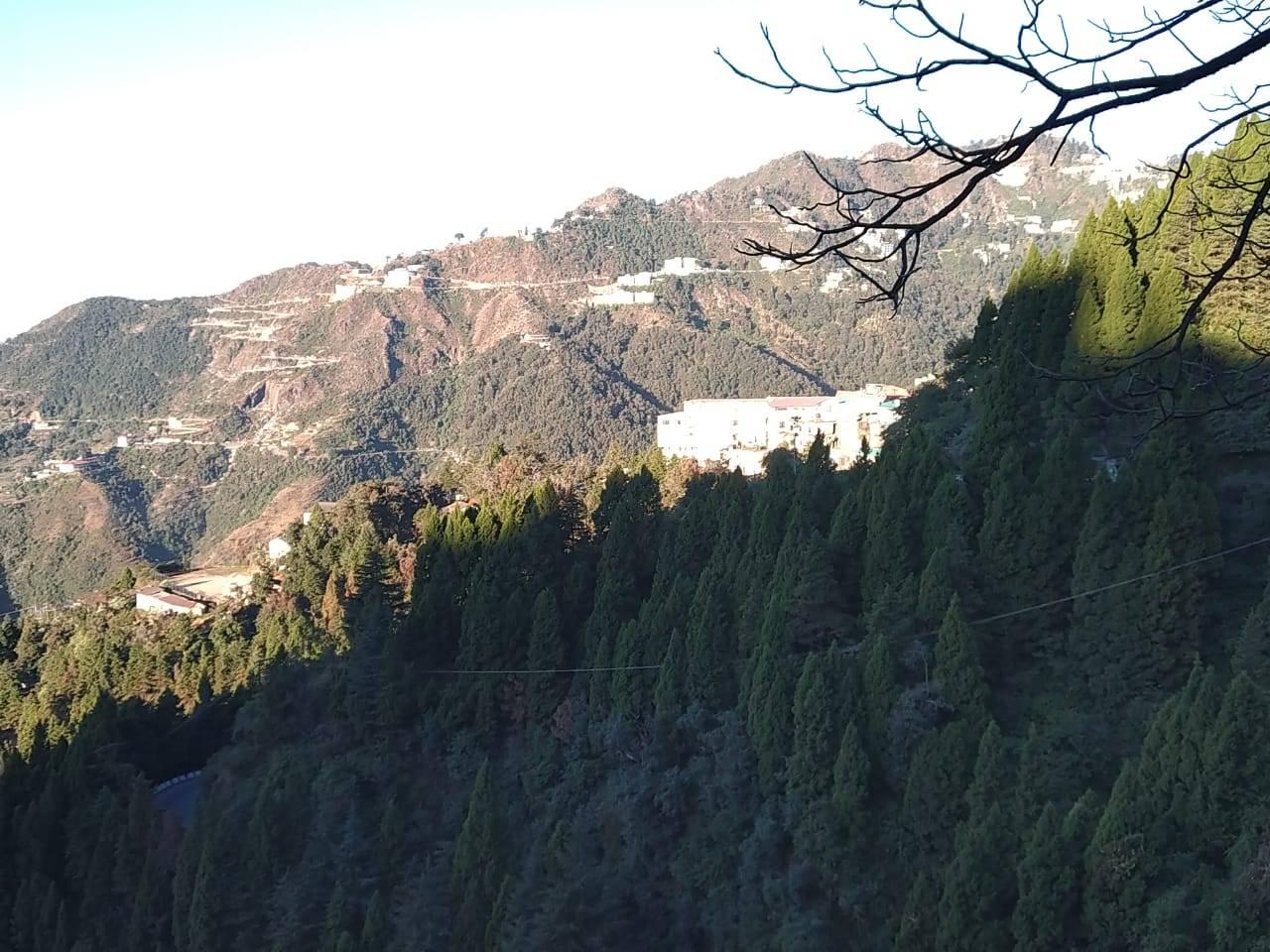 Other (Service Not listed); Exp: More than 5 year