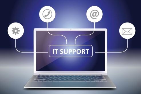 Other professional services; Exp: More than 15 year