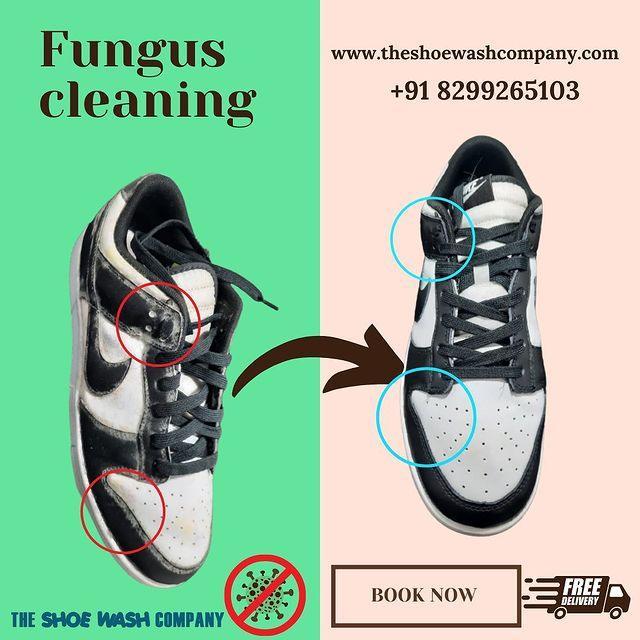 Other (Service Not listed); Exp: 3 year